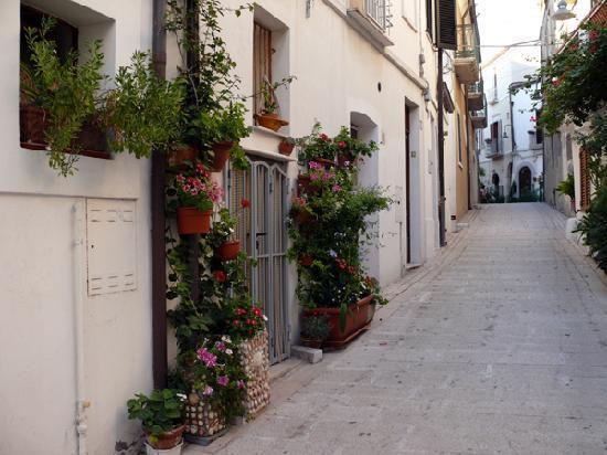 Residenza Borgo Antico Villa Termoli Buitenkant foto